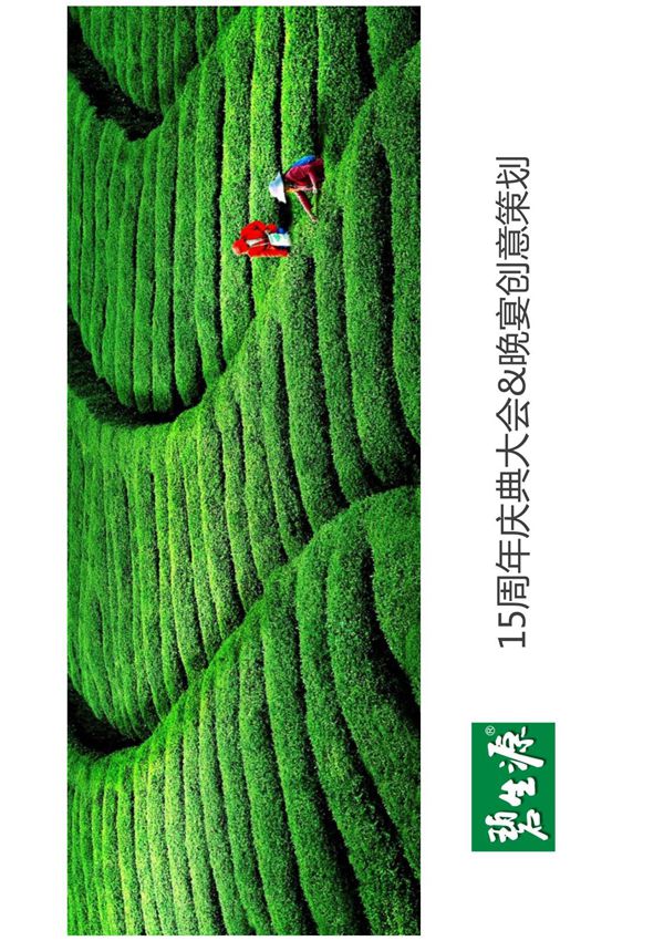 碧生源15周年庆典暨晚宴创意策划方案