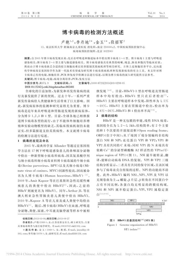 博卡病毒的检测方法概述