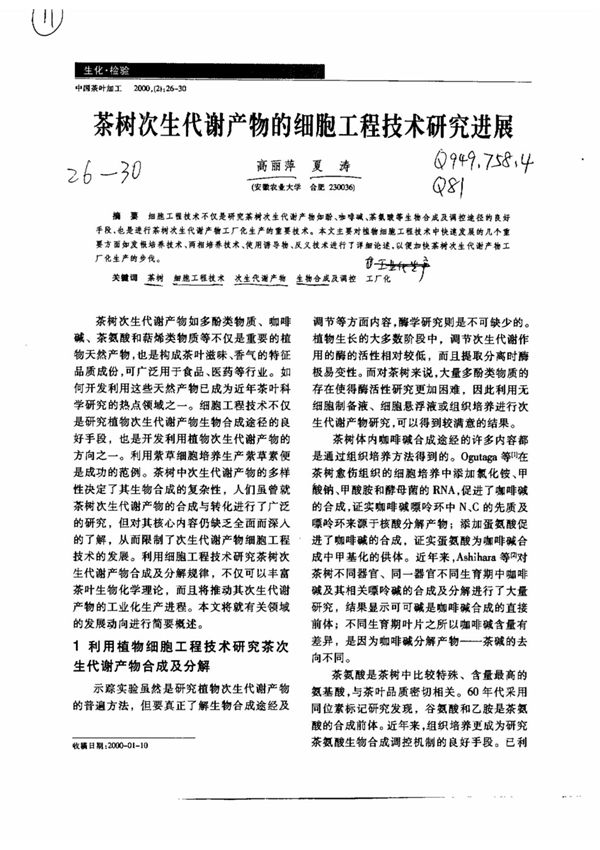 茶树次生代谢产物的细胞工程技术研究进展