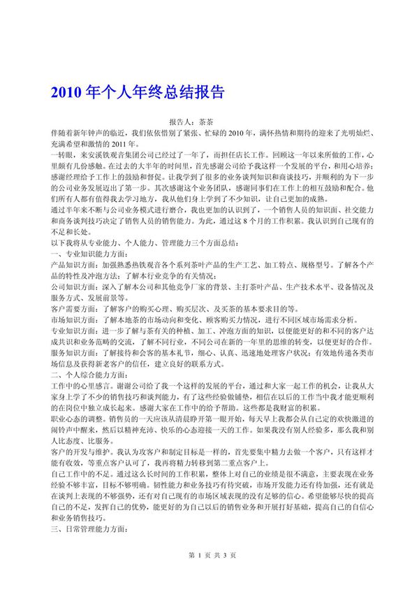 个人年终总结 店长年终总结  销售年终总结