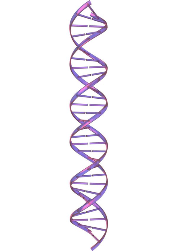 DNA双螺旋结构图高清插图 - DNA9