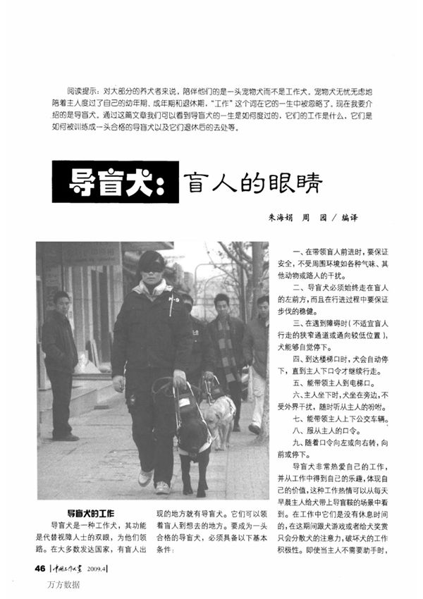 导盲犬的工作