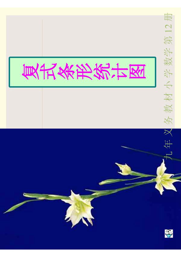 数学课件六年级数学复式条形统计图