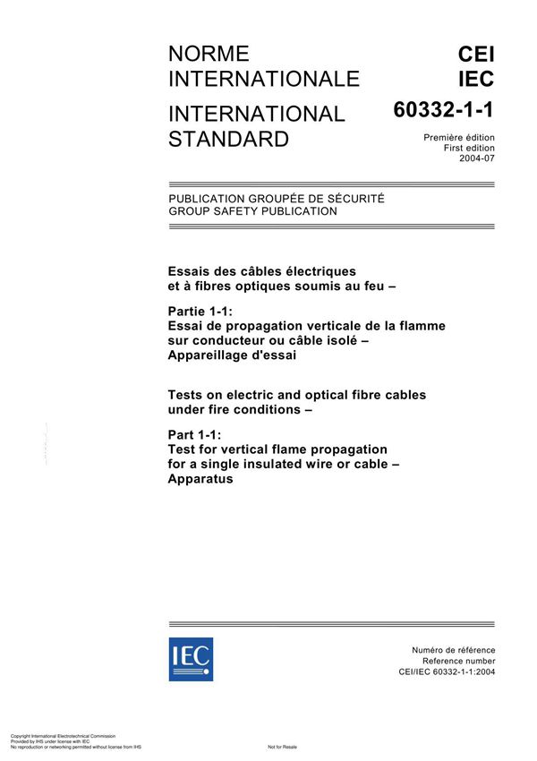 IEC 60332-1-1 2004