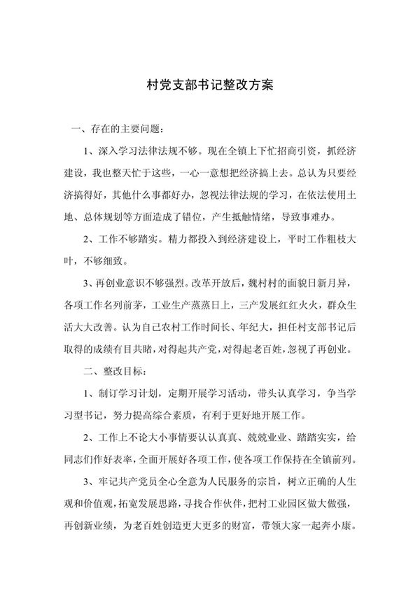 村党支部书记整改方案