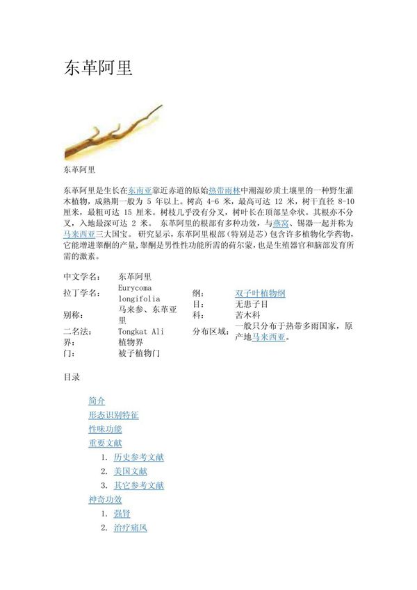 东革阿里 PDF