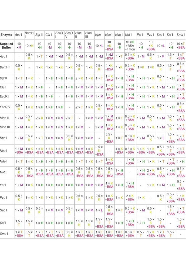 TAKARA双酶切体系
