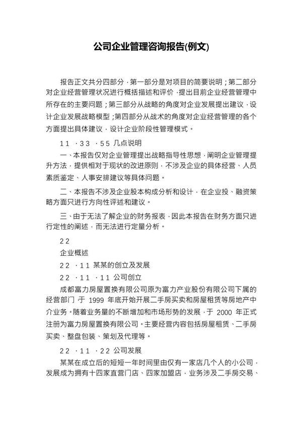 公司企业管理咨询报告(例文)