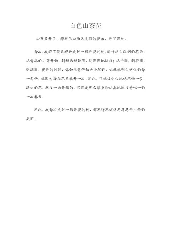 席慕容《白色山茶花》