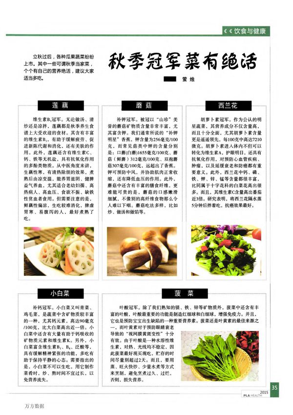 秋季冠军菜有绝活论文