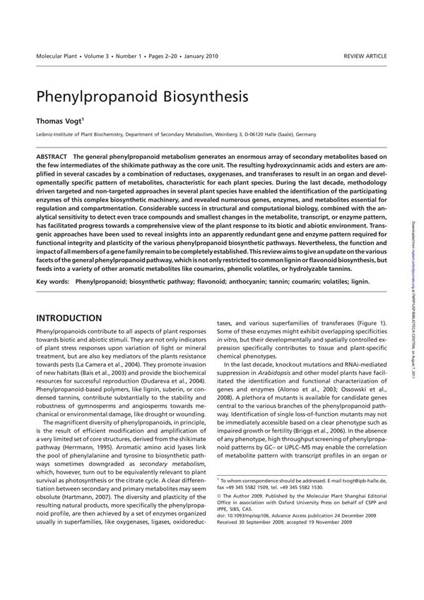 Phenylpropanoid Biosynthesis - USP