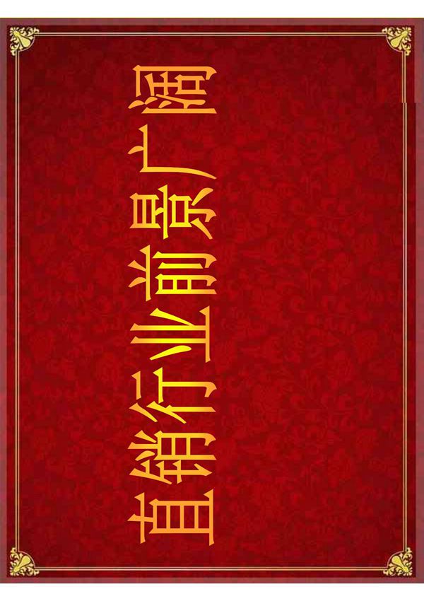 玛丽艳市场前景展望(2011版)