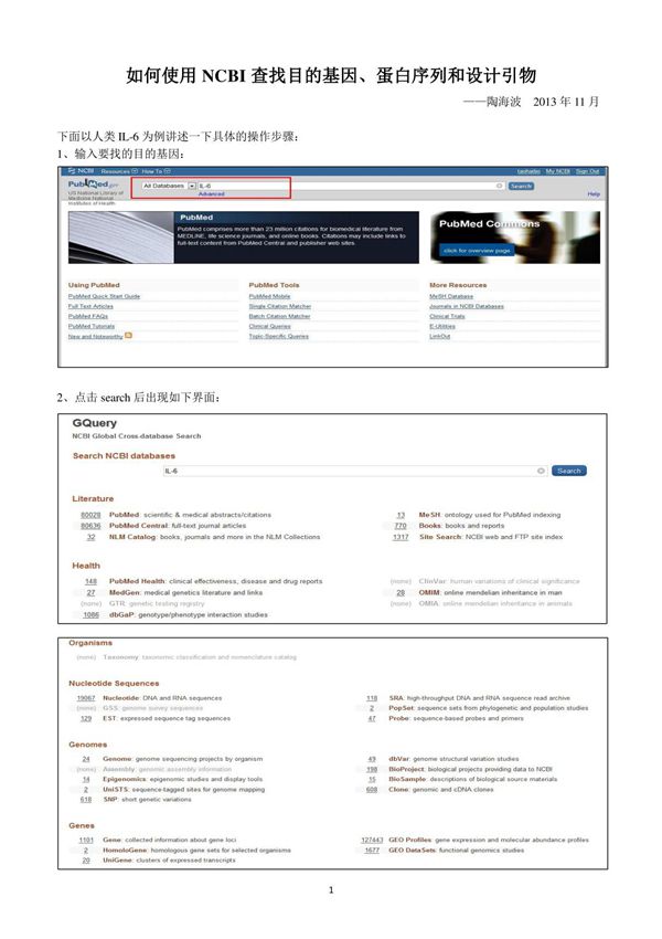 如何使用NCBI查找基因-蛋白序列和设计引物