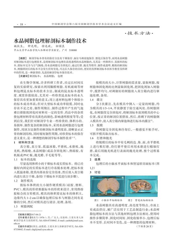 水晶树脂包埋解剖标本制作技术