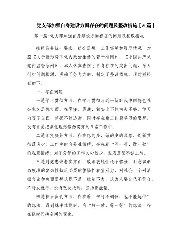 党支部加强自身建设方面存在的问题及整改措施(5篇)