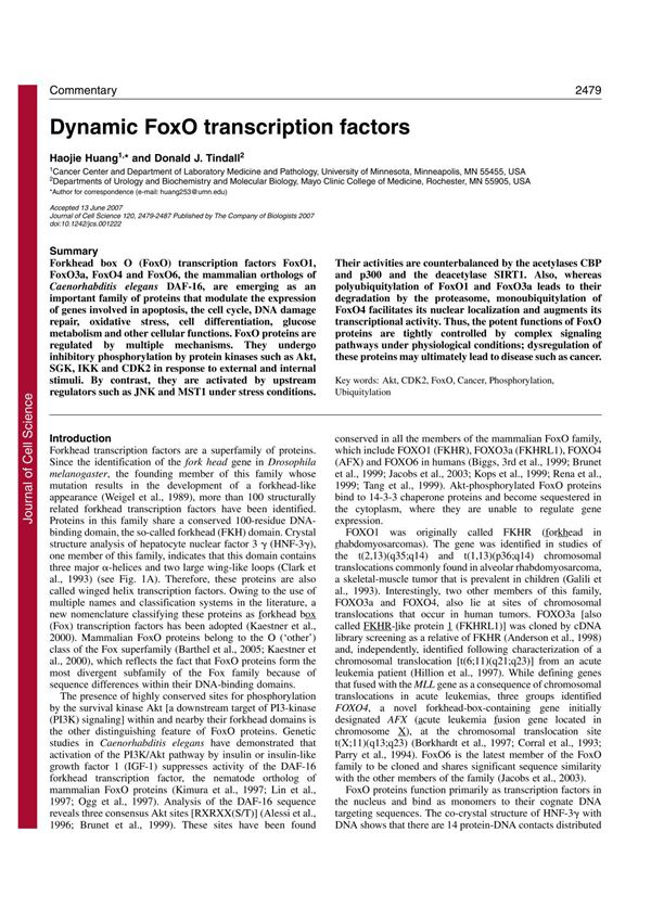 FoxO转录因子简介