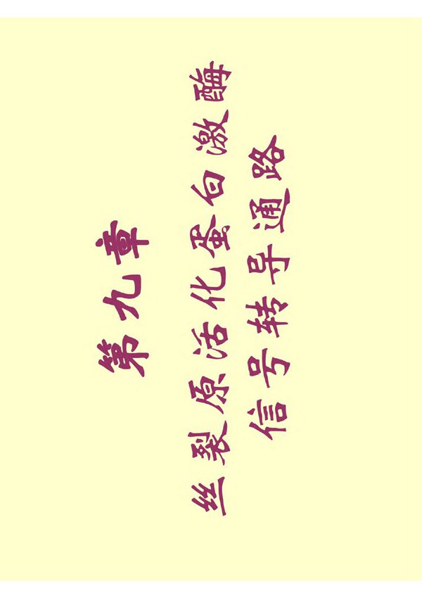 丝裂原活化蛋白激酶(精品-PDF)