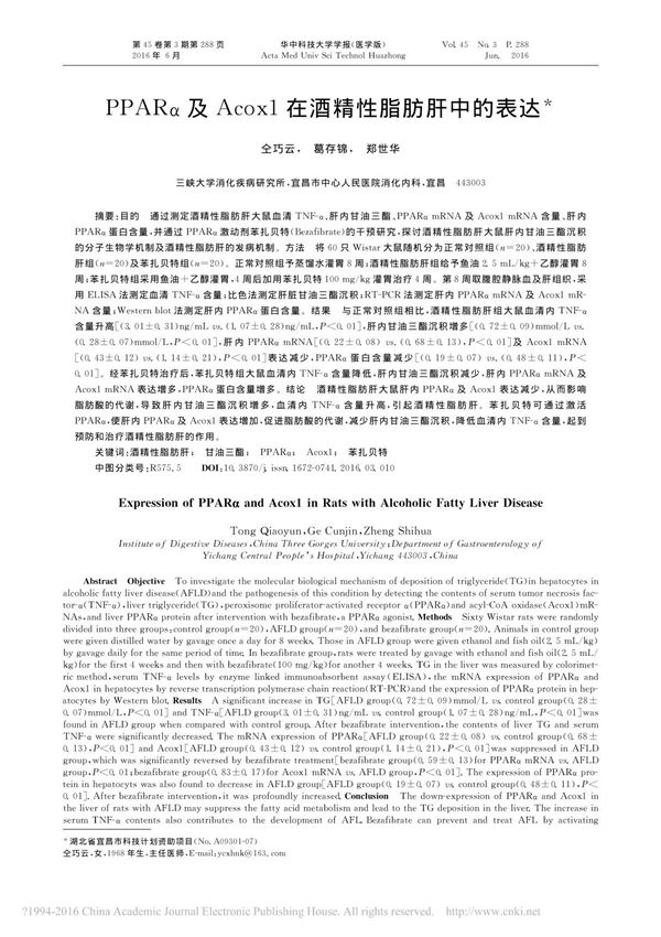 PPARα及Acox1在酒精性脂肪肝中的表达