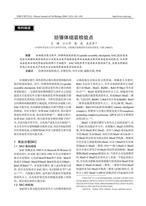 纺锤体组装检验点