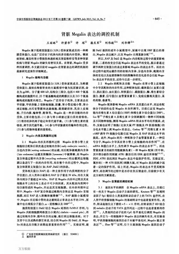 肾脏megalin表达的调控机制