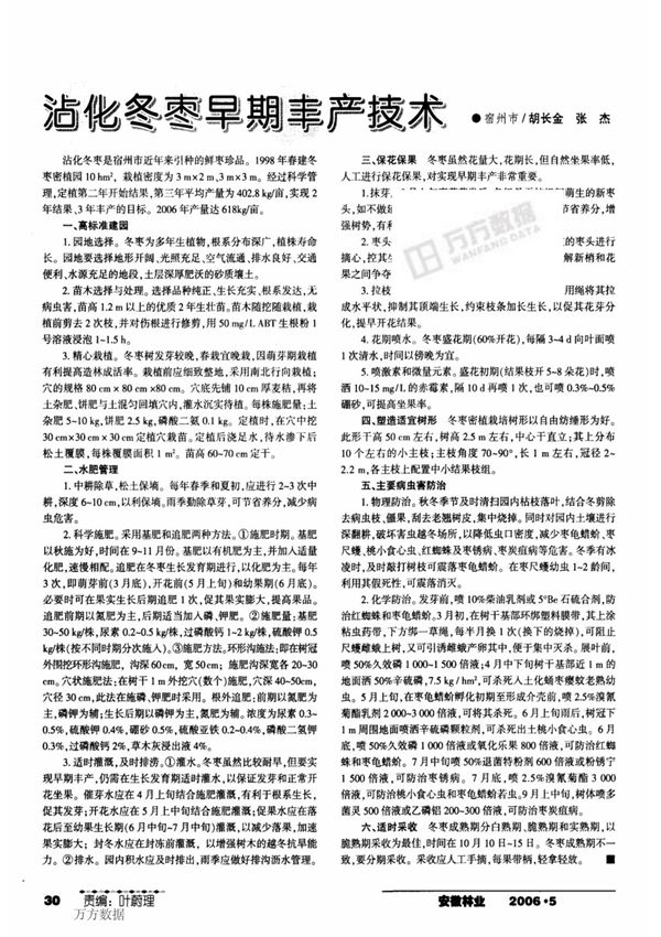 沾化冬枣早期丰产技术