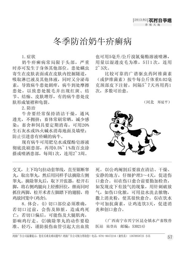 冬季防治奶牛疥癣病