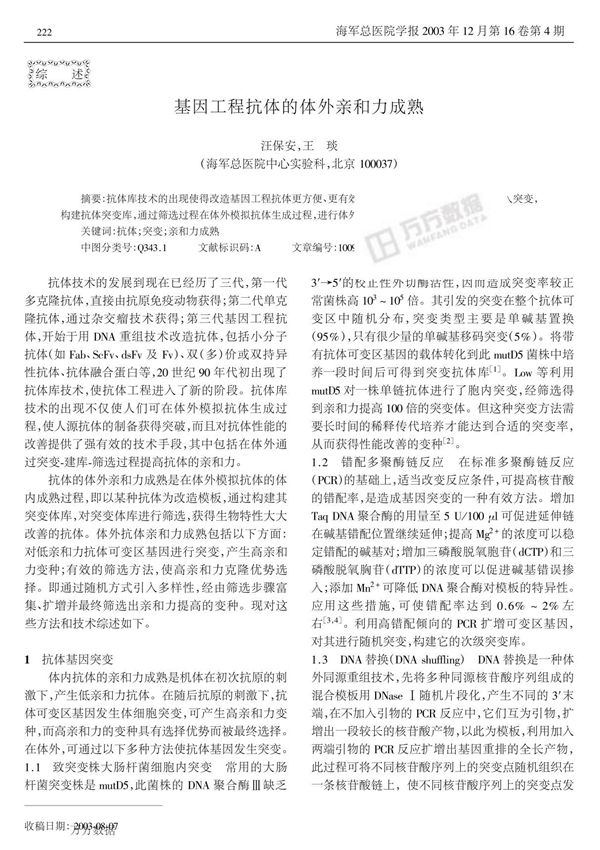 基因工程抗体的体外亲和力成熟