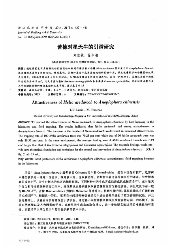 苦楝对星天牛的引诱研究 attractiveness of melia azedarach to anoplophora chinensis