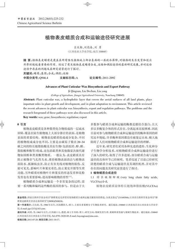 植物表皮蜡质合成和运输途径研究进展