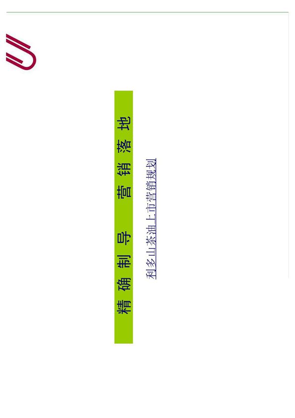 山茶油上市营销规划方案