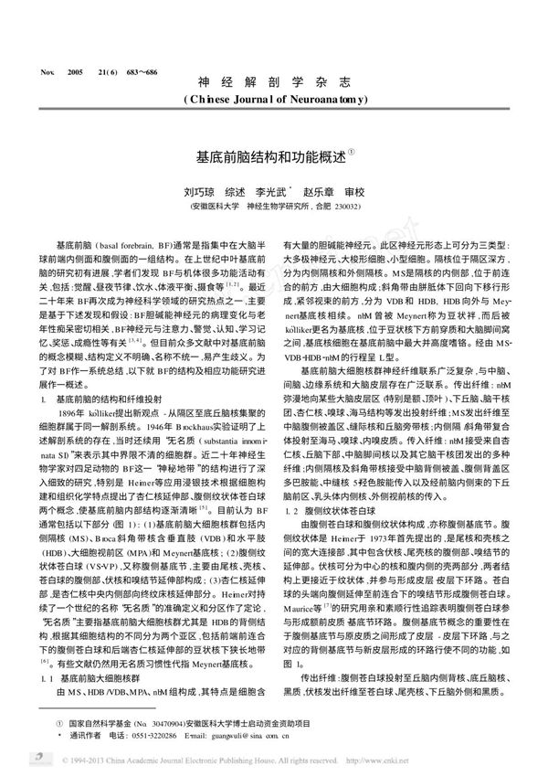 基底前脑结构和功能概述