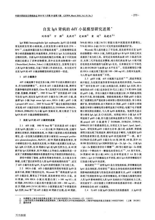 自发IgA肾病的ddY小鼠模型研究进展