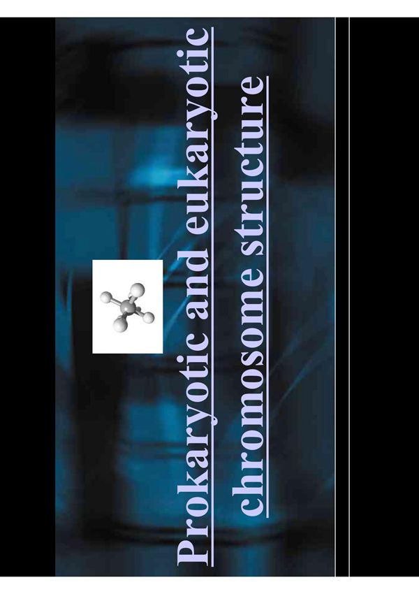 大肠杆菌基因组为双链环状的DNA分子