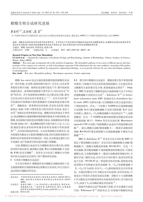 蜡酯生物合成研究进展
