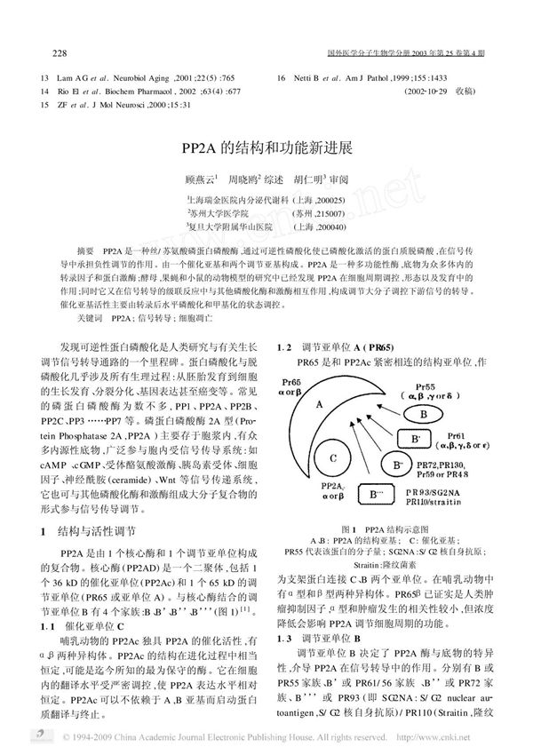P2A的结构和功能新进