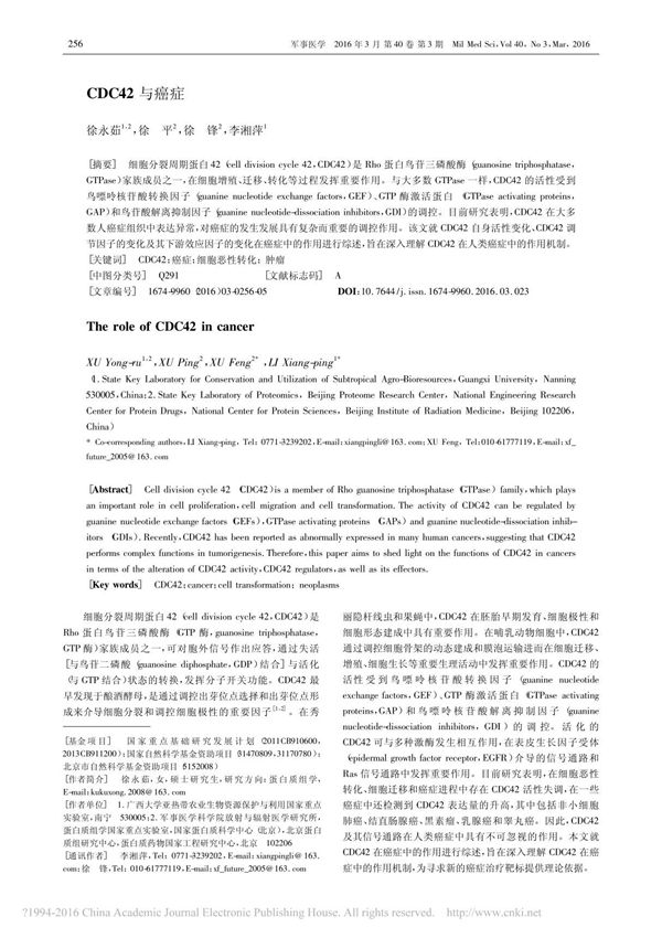 CDC42与癌症