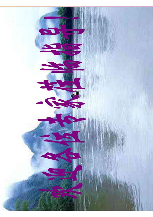 初中物理专题复习(作图) PDF