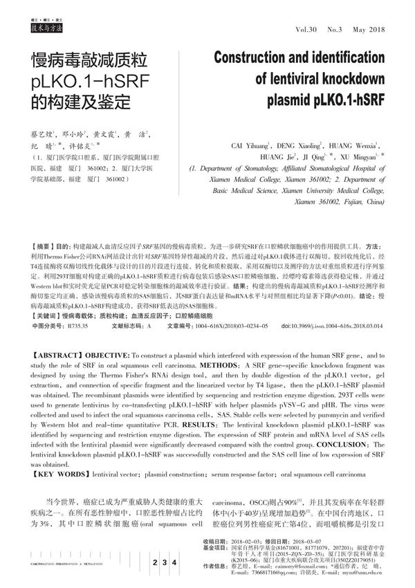 慢病毒敲减质粒pLKO.1-hSRF的构建及鉴定