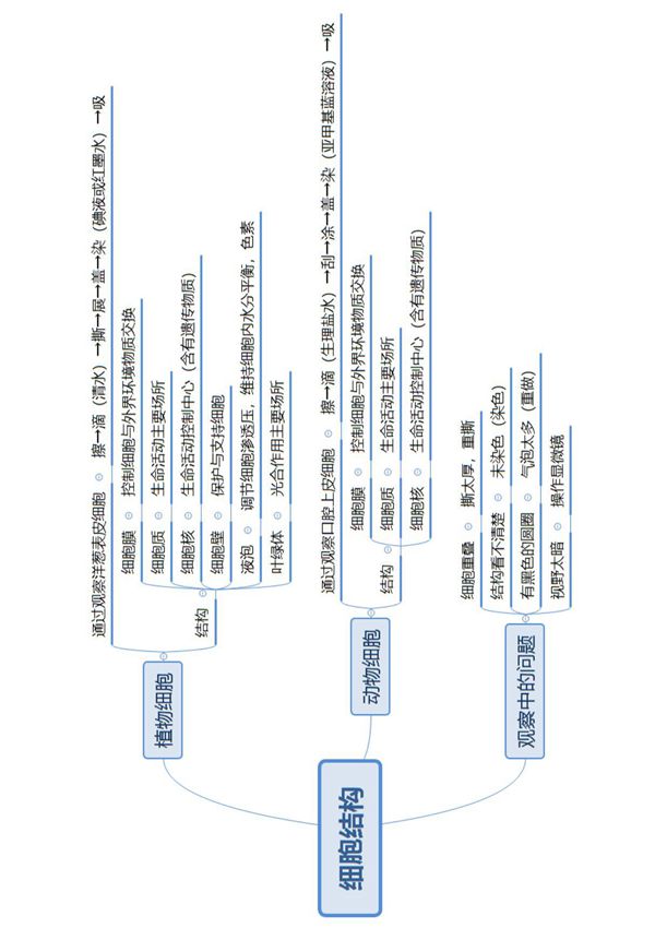 中考生物思维导图