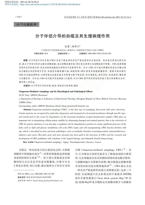 分子伴侣介导的自噬及其生理病理作用 宣莹
