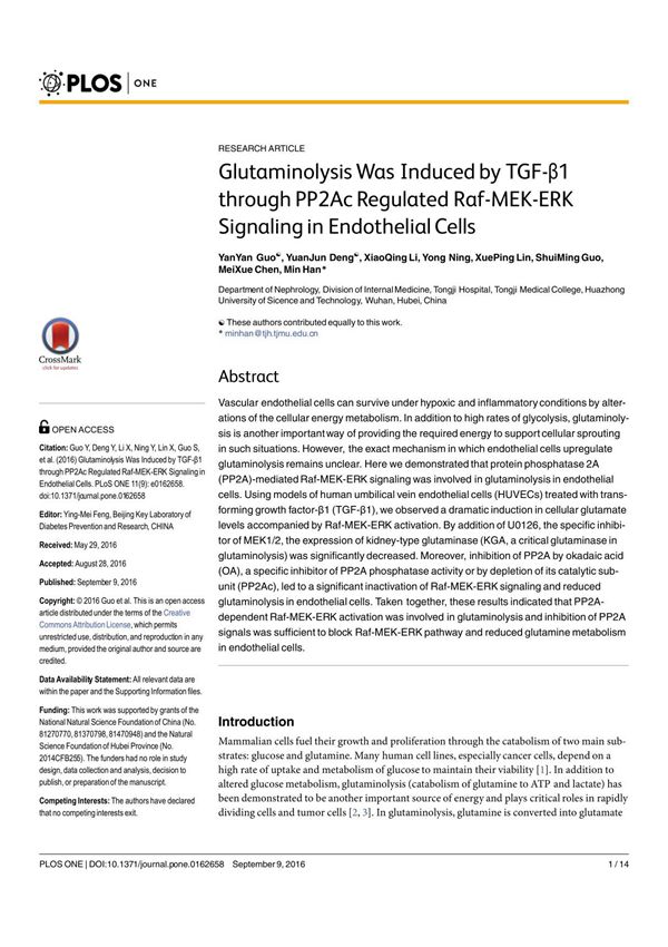 glutaminolysis was induced by tgf-β1 through pp2ac regulated raf-mek-erk signaling in endothelial cells