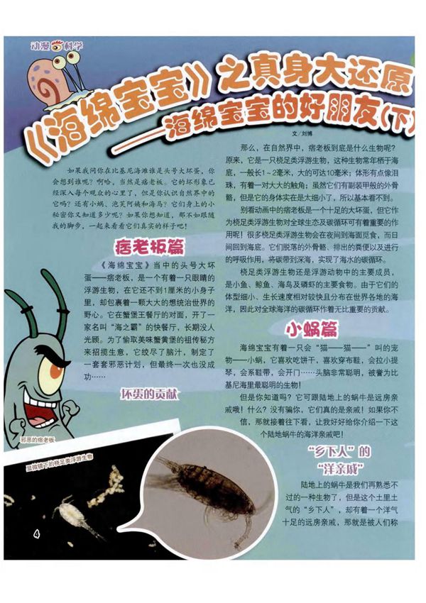 《海绵宝宝》之真身大还原海绵宝宝的好朋友(下)