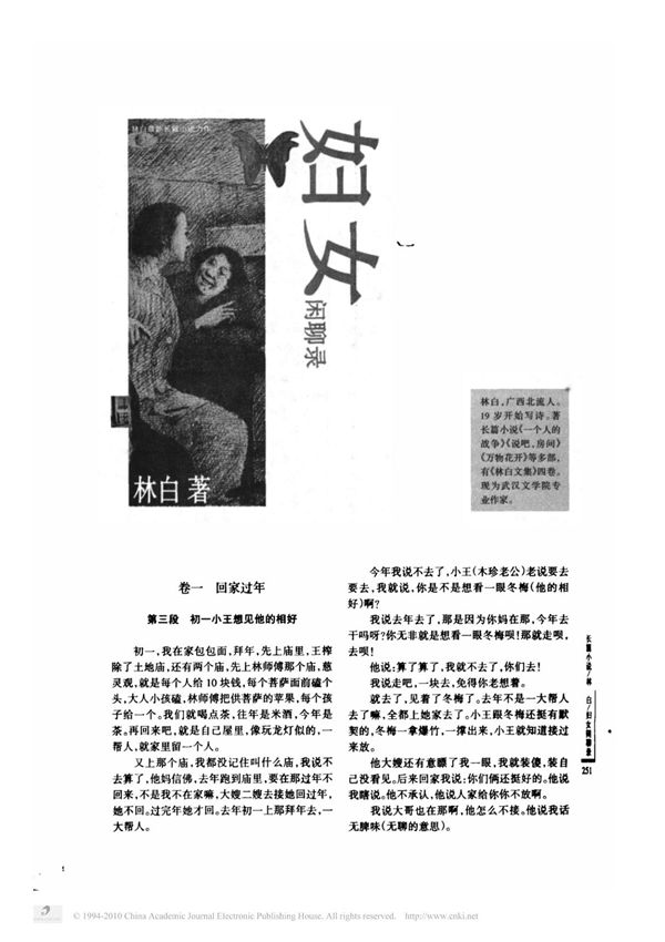 长篇小说精品 妇女闲聊录林白