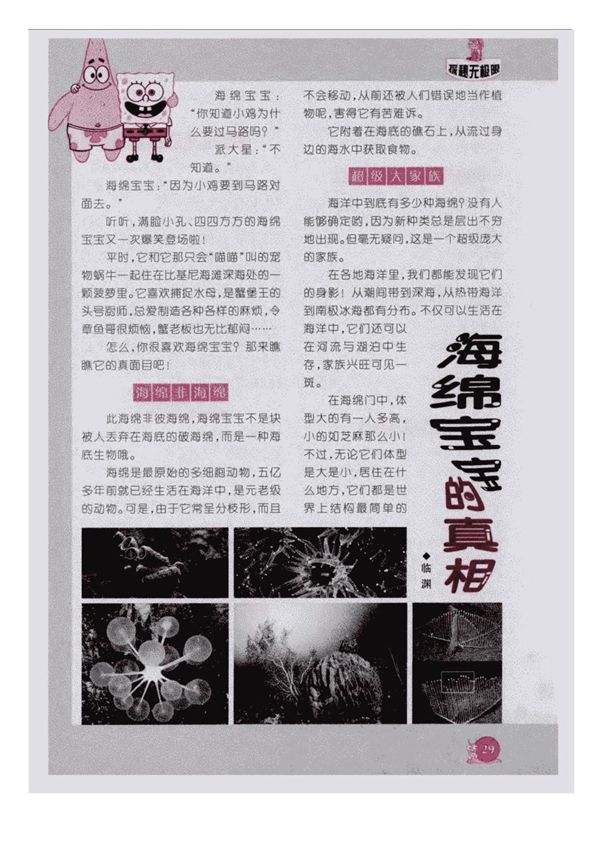 海绵宝宝的真相