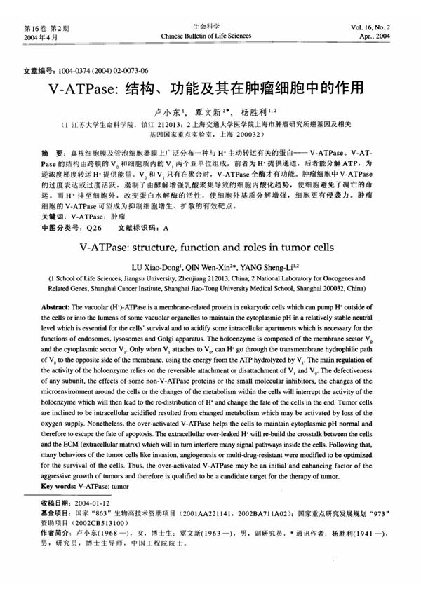 VATPase 结构 功能及其在肿瘤细胞中的作用