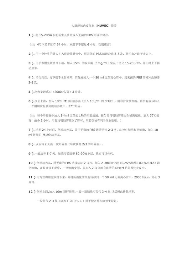 人脐静脉内皮细胞