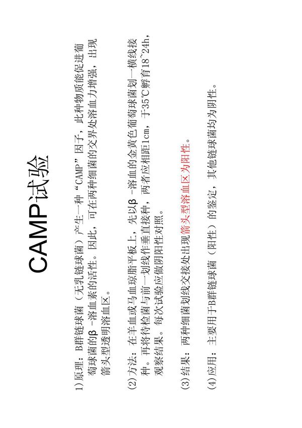 CAMP试验