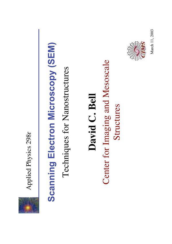 Scanning Electron Microscopy