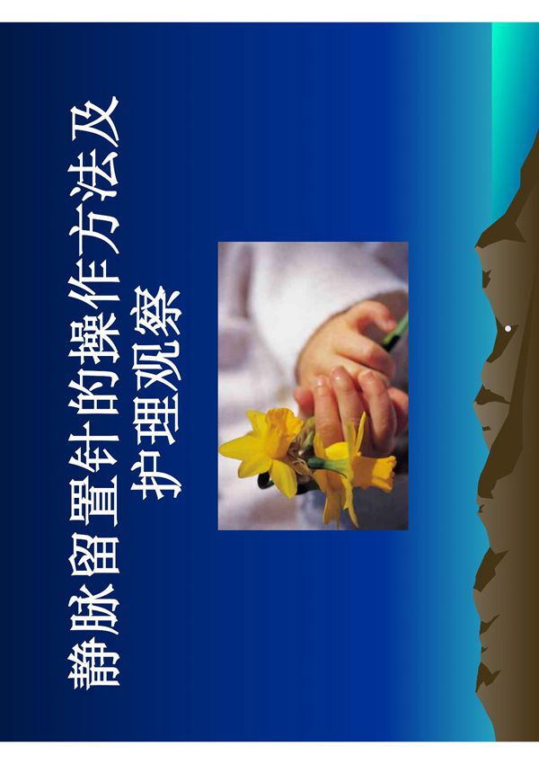 静脉留置针使用方法及注意事项