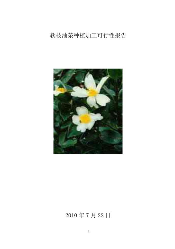 油茶种植项目可行性报告_完整版